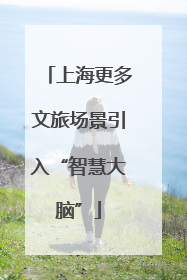 上海更多文旅场景引入“智慧大脑”