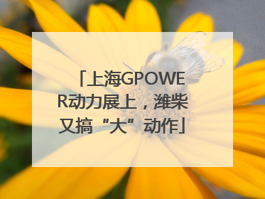 上海GPOWER动力展上，潍柴又搞“大”动作
