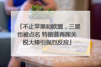 不止苹果和欧盟，三星也被点名 特朗普再挥关税大棒引强烈反应