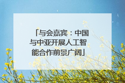 与会嘉宾：中国与中亚开展人工智能合作前景广阔