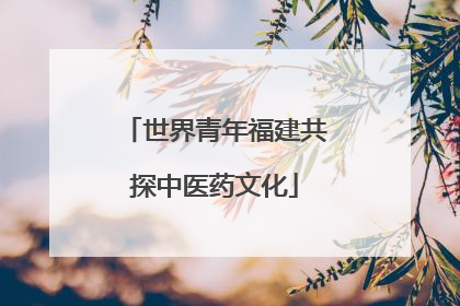 世界青年福建共探中医药文化