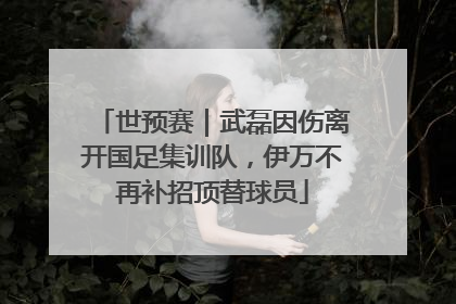 世预赛｜武磊因伤离开国足集训队，伊万不再补招顶替球员