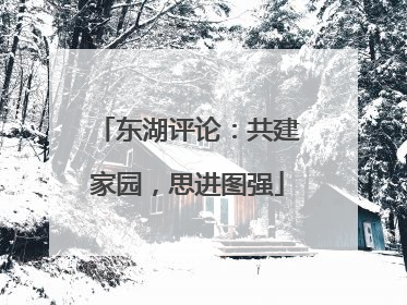 东湖评论：共建家园，思进图强