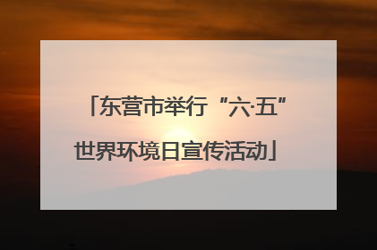 东营市举行“六·五”世界环境日宣传活动