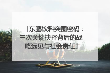 东鹏饮料突围密码：三次关键抉择背后的战略远见与社会责任