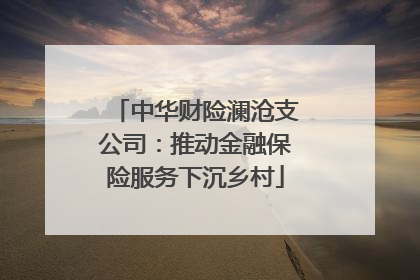 中华财险澜沧支公司：推动金融保险服务下沉乡村