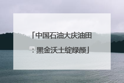 中国石油大庆油田：黑金沃土绽绿颜