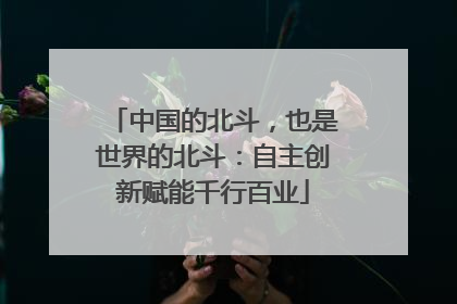 中国的北斗，也是世界的北斗：自主创新赋能千行百业