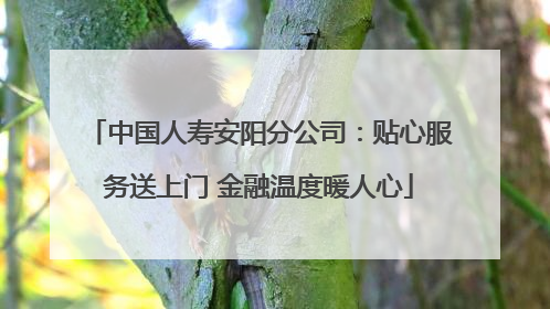 中国人寿安阳分公司：贴心服务送上门 金融温度暖人心