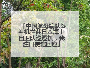 中国航母编队战斗机拦截日本海上自卫队巡逻机，我驻日使馆回应