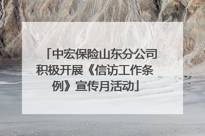 中宏保险山东分公司积极开展《信访工作条例》宣传月活动