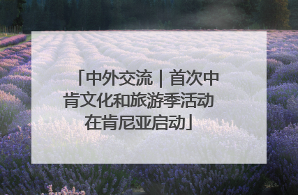 中外交流｜首次中肯文化和旅游季活动在肯尼亚启动