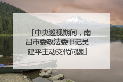 中央巡视期间，南昌市委政法委书记吴建平主动交代问题