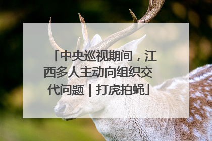 中央巡视期间，江西多人主动向组织交代问题｜打虎拍蝇