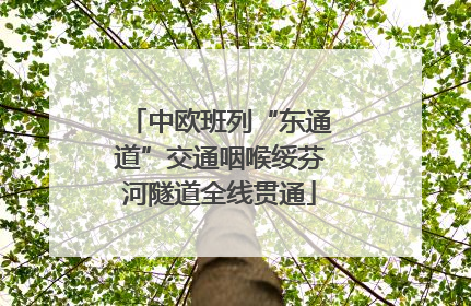 中欧班列“东通道”交通咽喉绥芬河隧道全线贯通