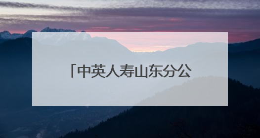 中英人寿山东分公司成功举办 “中英嘉年华”活动