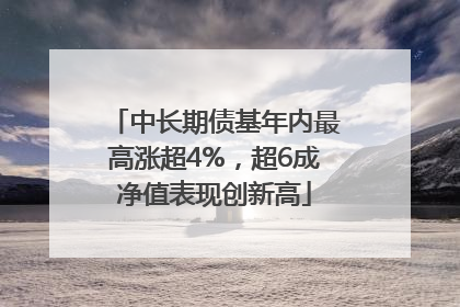 中长期债基年内最高涨超4%，超6成净值表现创新高