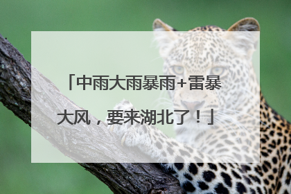 中雨大雨暴雨+雷暴大风，要来湖北了！