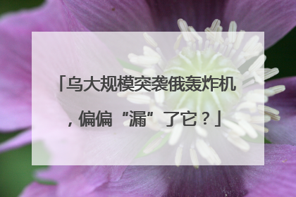 乌大规模突袭俄轰炸机，偏偏“漏”了它？