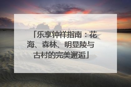 乐享钟祥指南：花海、森林、明显陵与古村的完美邂逅