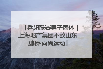 乒超联赛男子团体｜上海地产集团不敌山东魏桥·向尚运动