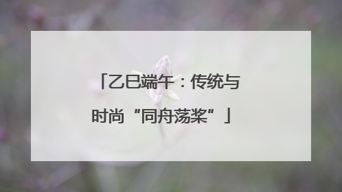 乙巳端午：传统与时尚“同舟荡桨”