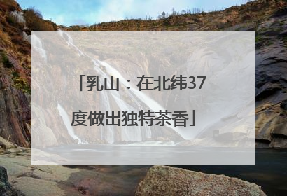 乳山：在北纬37度做出独特茶香