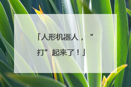 人形机器人，“打”起来了！
