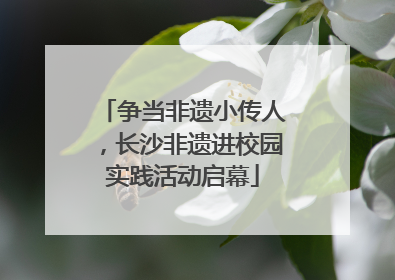 争当非遗小传人，长沙非遗进校园实践活动启幕