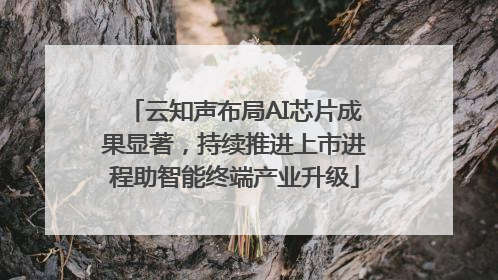云知声布局AI芯片成果显著，持续推进上市进程助智能终端产业升级