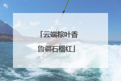 云端粽叶香 鲁疆石榴红