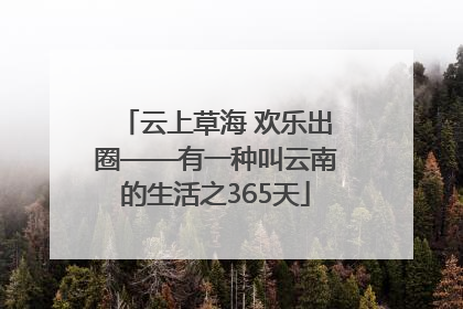 云上草海 欢乐出圈——有一种叫云南的生活之365天