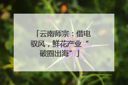 云南师宗：借电驭风，鲜花产业“破圈出海”