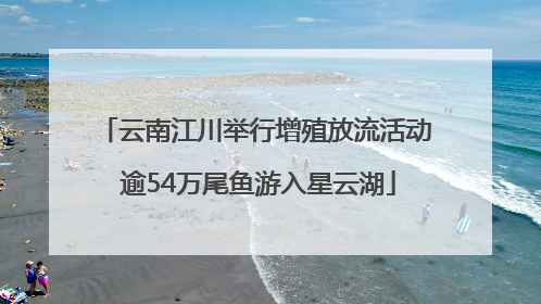 云南江川举行增殖放流活动 逾54万尾鱼游入星云湖