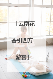 云南花香引四方游客