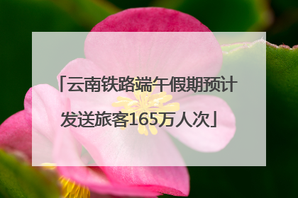 云南铁路端午假期预计发送旅客165万人次
