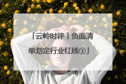 云岭时评丨负面清单划定行业红线③