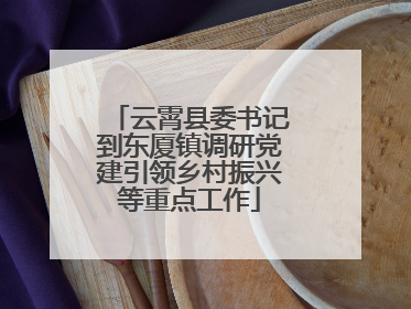 云霄县委书记到东厦镇调研党建引领乡村振兴等重点工作