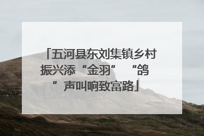 五河县东刘集镇乡村振兴添“金羽” “鸽”声叫响致富路