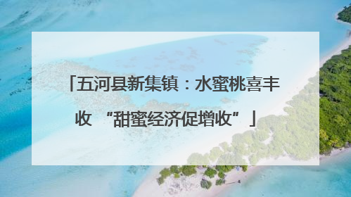 五河县新集镇：水蜜桃喜丰收 “甜蜜经济促增收”