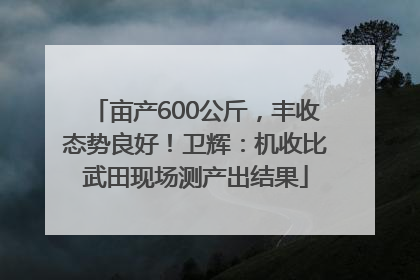 亩产600公斤，丰收态势良好！卫辉：机收比武田现场测产出结果