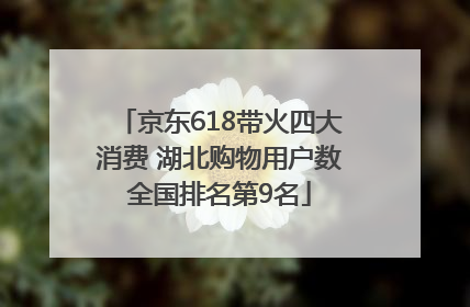 京东618带火四大消费 湖北购物用户数全国排名第9名