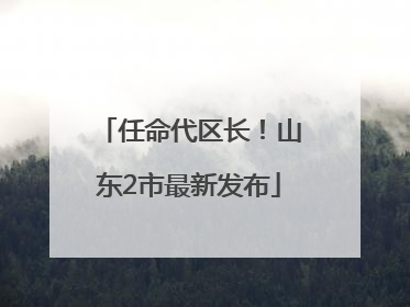 任命代区长！山东2市最新发布