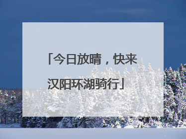 今日放晴，快来汉阳环湖骑行