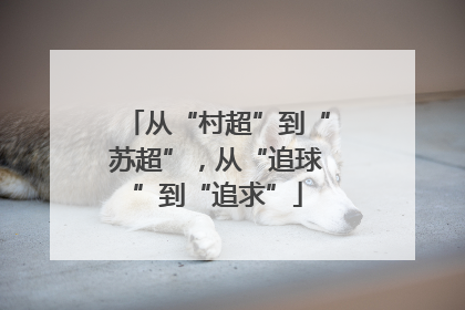 从“村超”到“苏超”，从“追球”到“追求”