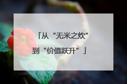 从“无米之炊”到“价值跃升”
