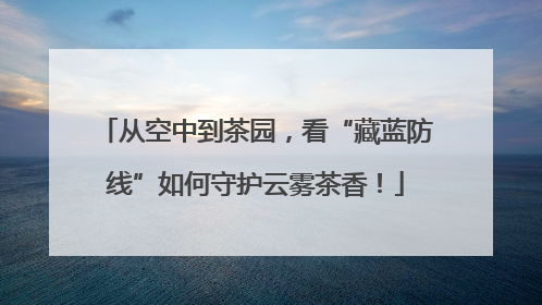 从空中到茶园，看“藏蓝防线”如何守护云雾茶香！