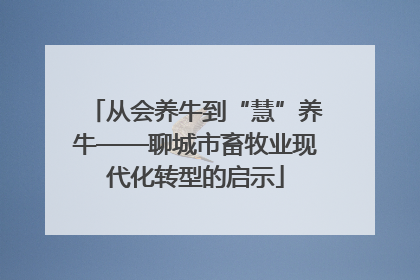 从会养牛到“慧”养牛——聊城市畜牧业现代化转型的启示