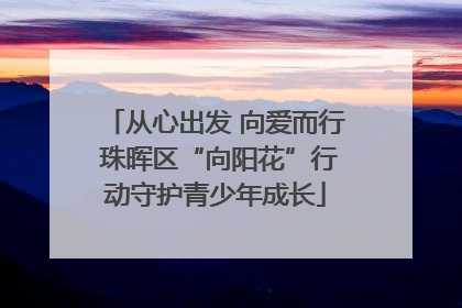 从心出发 向爱而行 珠晖区“向阳花”行动守护青少年成长