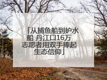 从捕鱼船到护水船 丹江口16万志愿者用双手捧起生态信仰